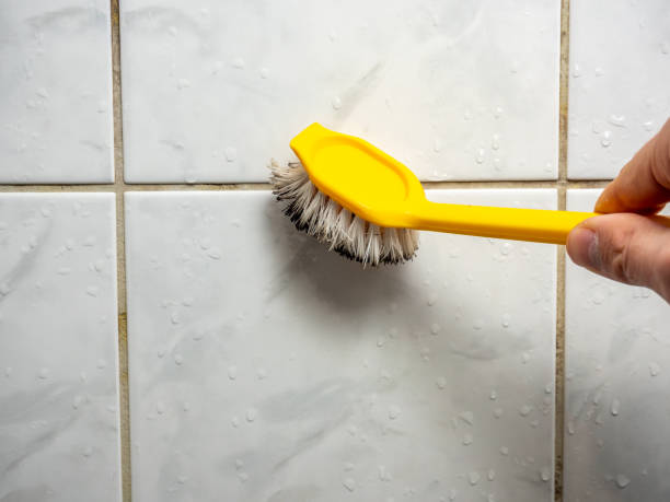 Best Mold Removal and Inspection  in Walnut Ridge, AR